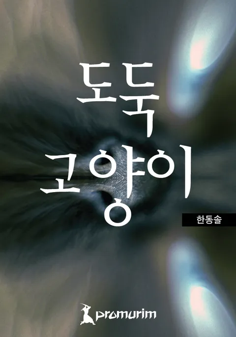 도둑 고양이