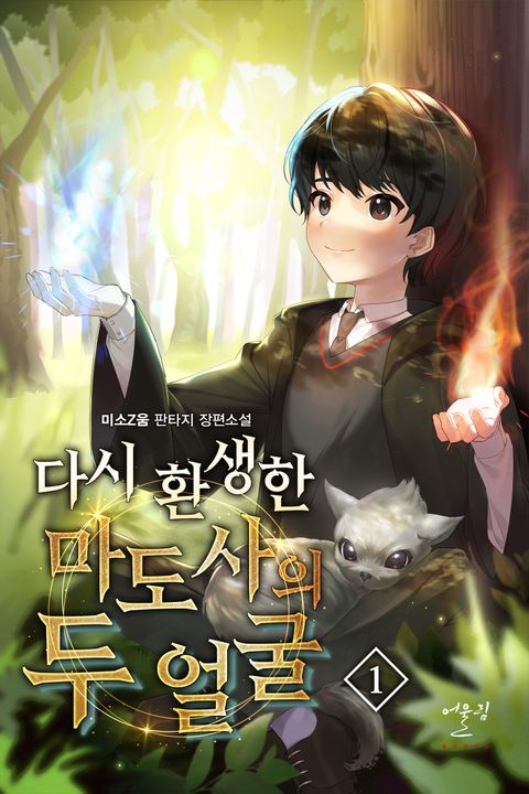 다시 환생한 마도사의 두 얼굴