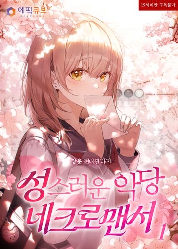 성스러운 악당 네크로맨서