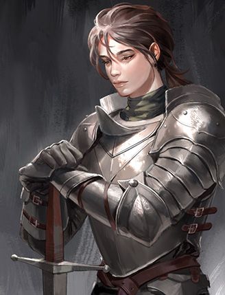 기사의 일기(Diary of a Knight)